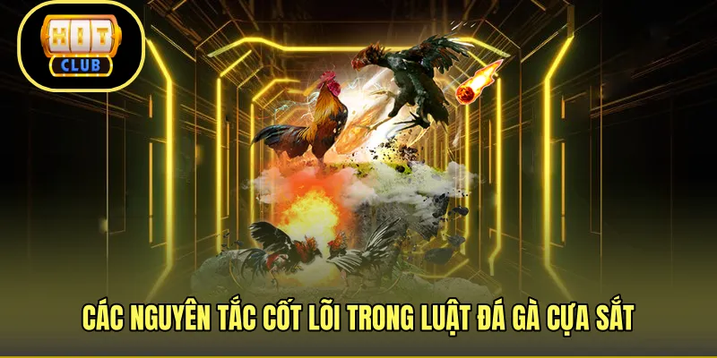 Các nguyên tắc cốt lõi trong luật đá gà cựa sắt