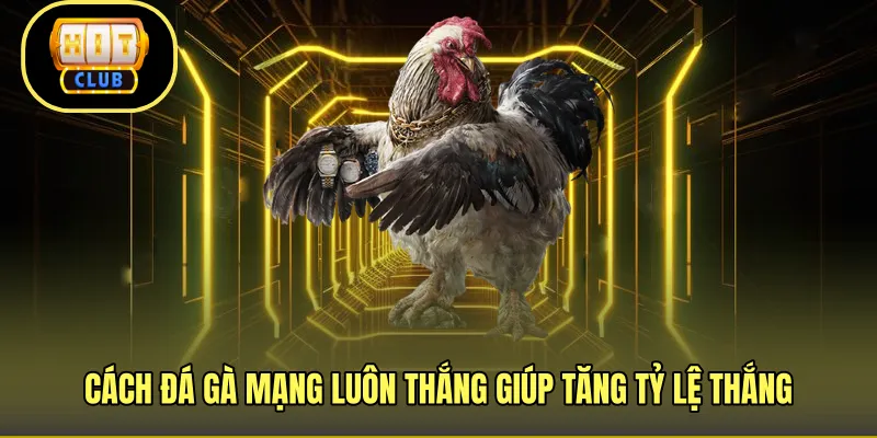 Cách đá gà mạng luôn thắng giúp tăng tỷ lệ thắng