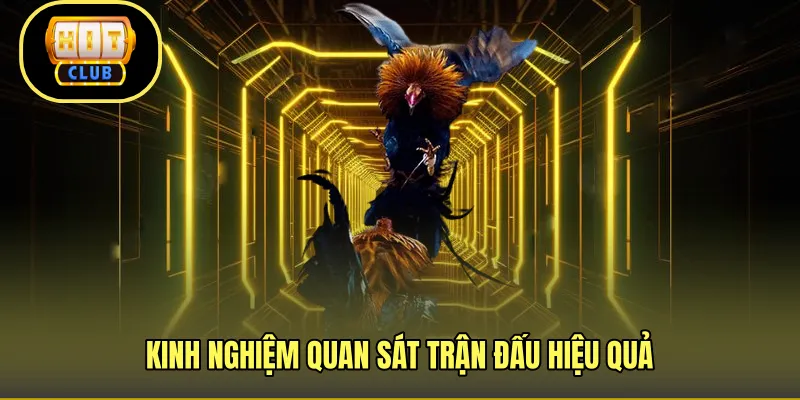 Kinh nghiệm quan sát trận đấu hiệu quả