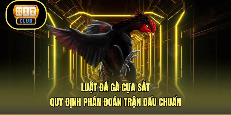 Luật Đá Gà Cựa Sắt - Quy Định Phán Đoán Trận Đấu Chuẩn