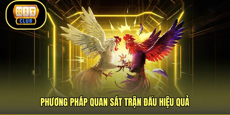 Phương pháp quan sát trận đấu hiệu quả