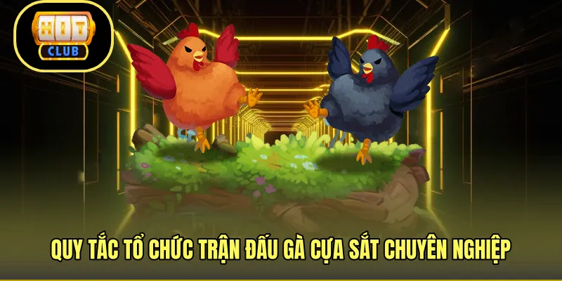 Quy tắc tổ chức trận đấu gà cựa sắt chuyên nghiệp